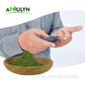 Green Wheat Barley Grass juice extract powder